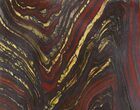 Tiger Iron Stromatolite Shower Tile - Billion Years Old #48797-1